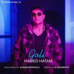 دانلود آهنگ حامد حاتم گلی