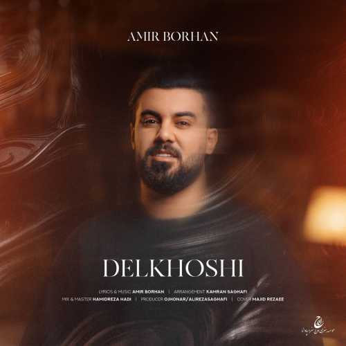 دانلود آهنگ امیر برهان دلخوشی